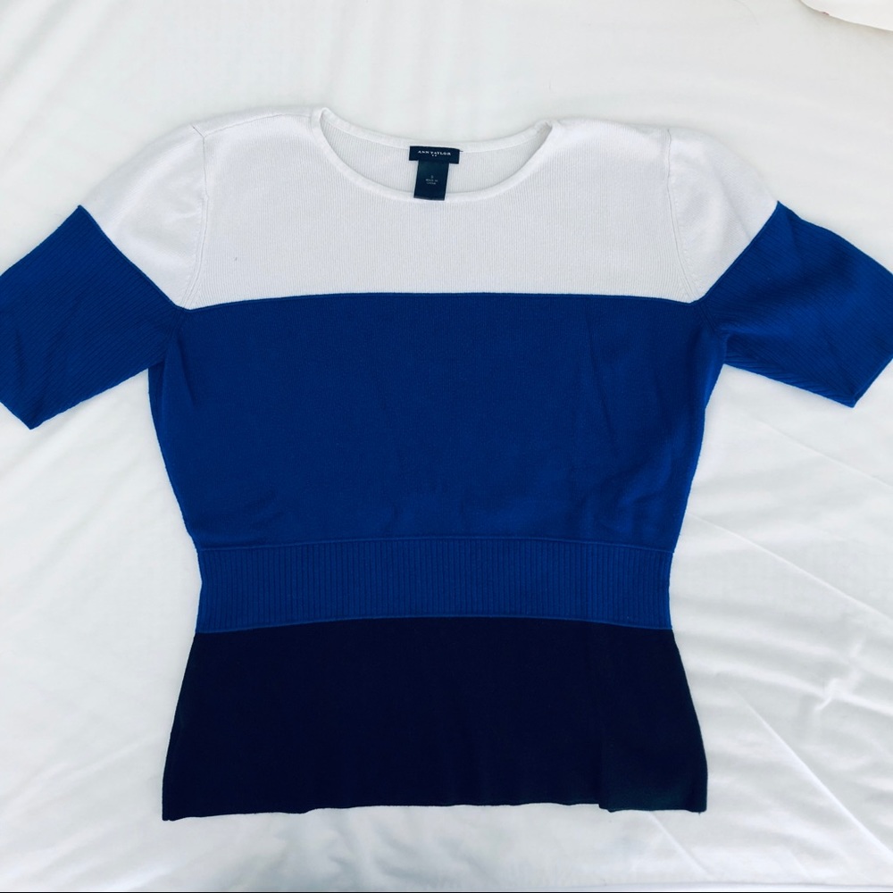 Ann Taylor Knit Top
